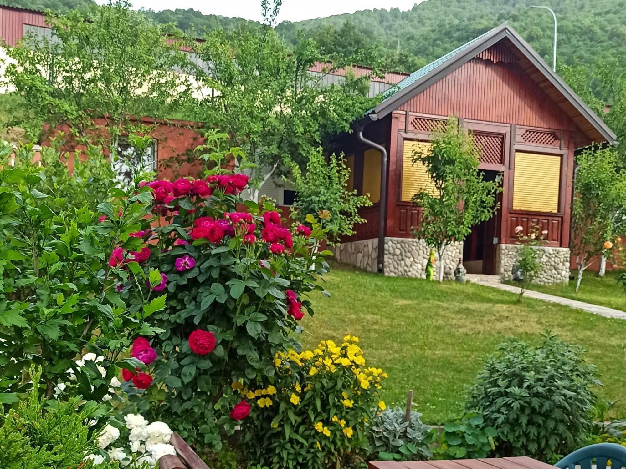 Apartment Lakeview Plužine Exterior photo